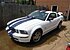 2006 Ford Mustang GT Coupe for sale 100291845